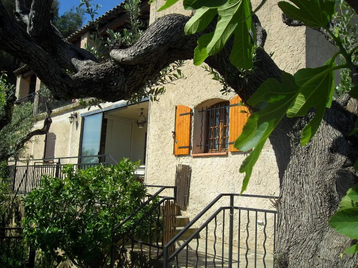 L'Arche En Rez De Jardin De Villa A Toulon