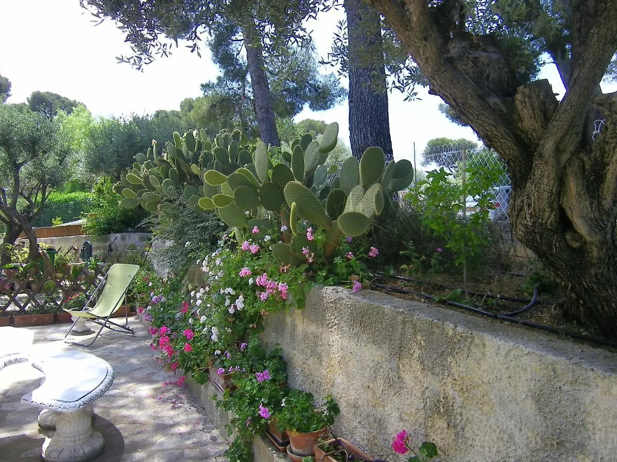 L'Arche En Rez De Jardin De Villa A Toulon